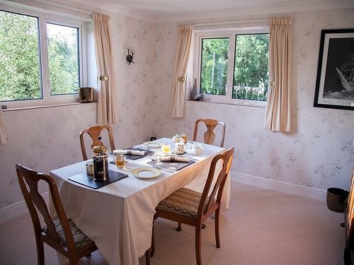 Bassets B&B