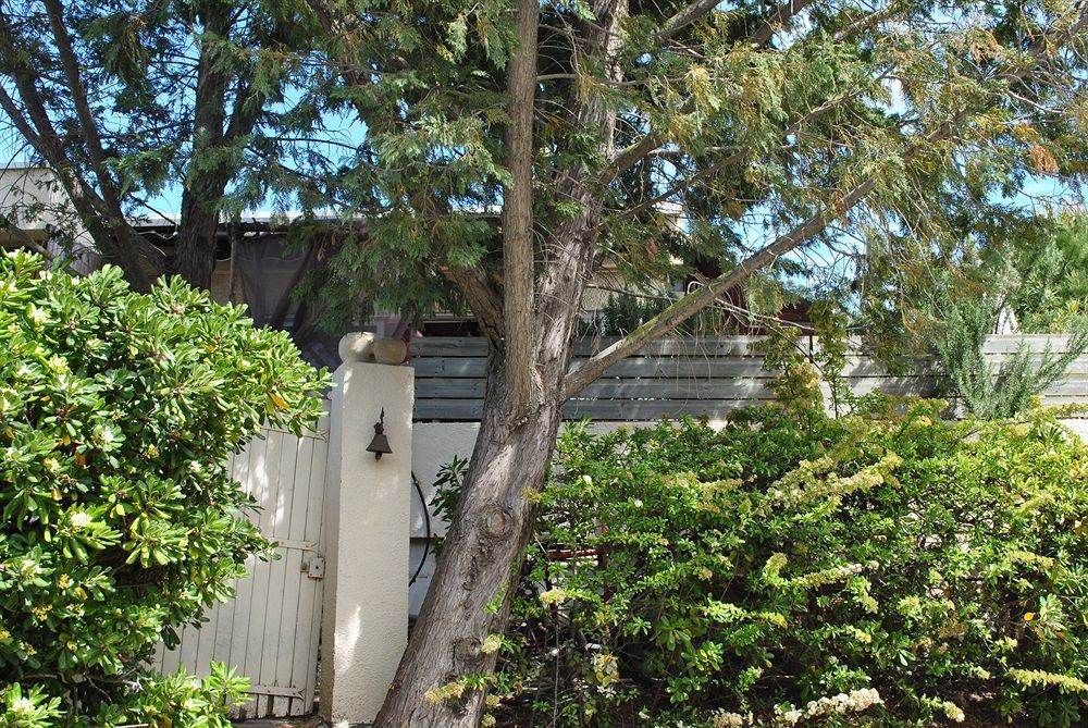 Outdoor Pictures 4