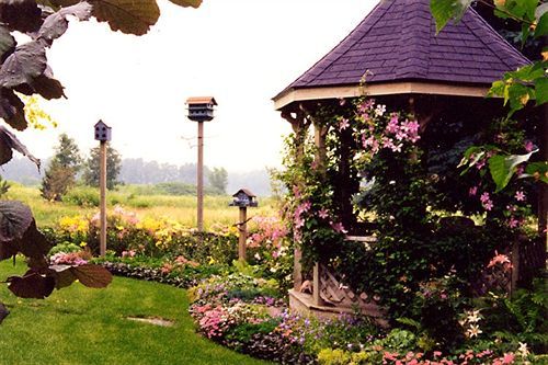 Outdoor Pictures 1