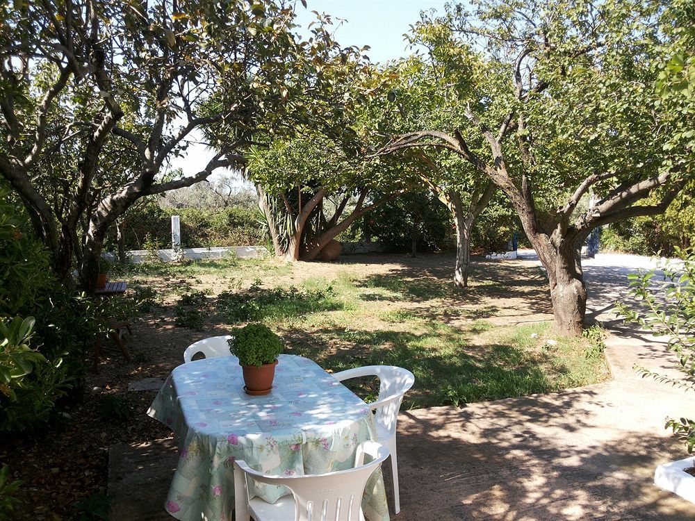 Outdoor Pictures 2