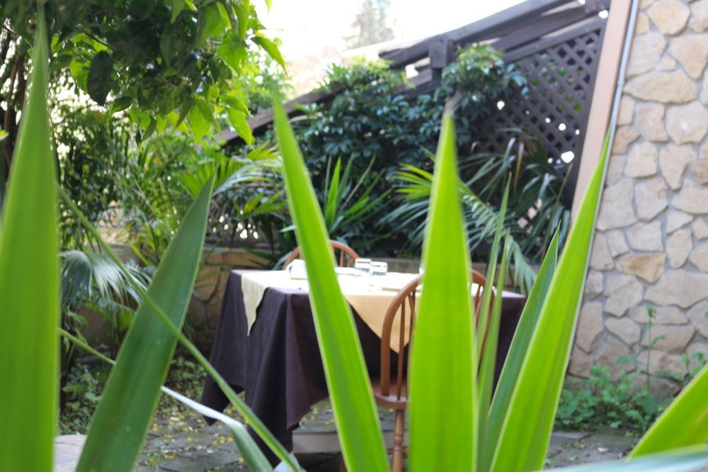 Outdoor Pictures 1