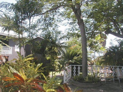 Outdoor Pictures 18