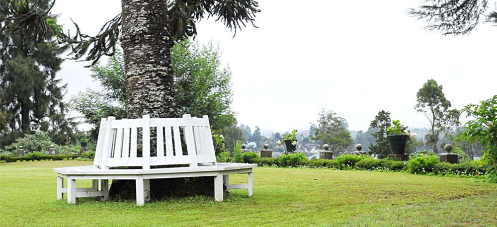 Outdoor Pictures 18