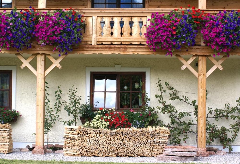 Outdoor Pictures 21