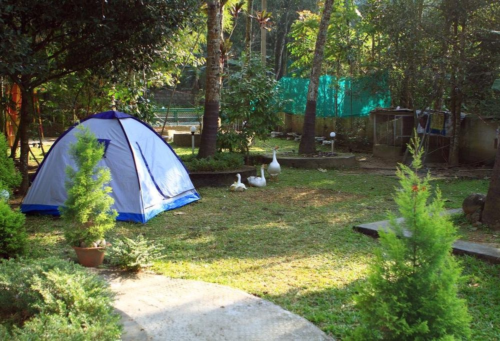 Outdoor Pictures 23