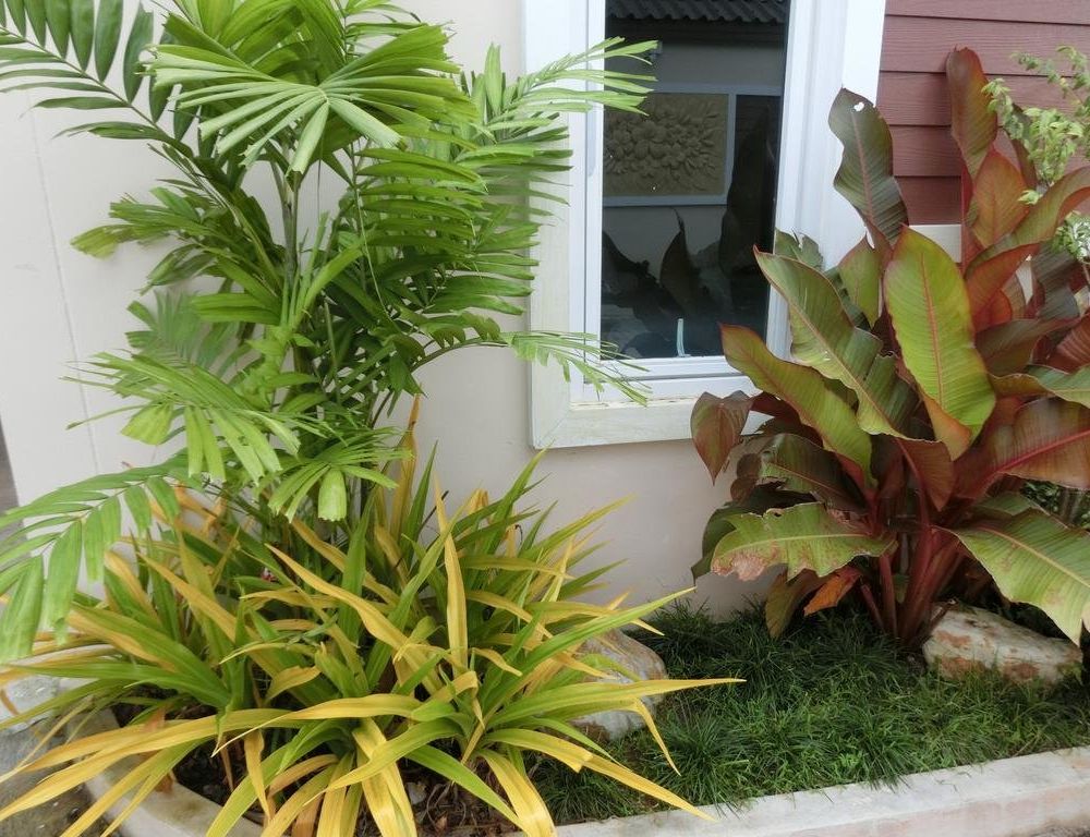 Outdoor Pictures 18