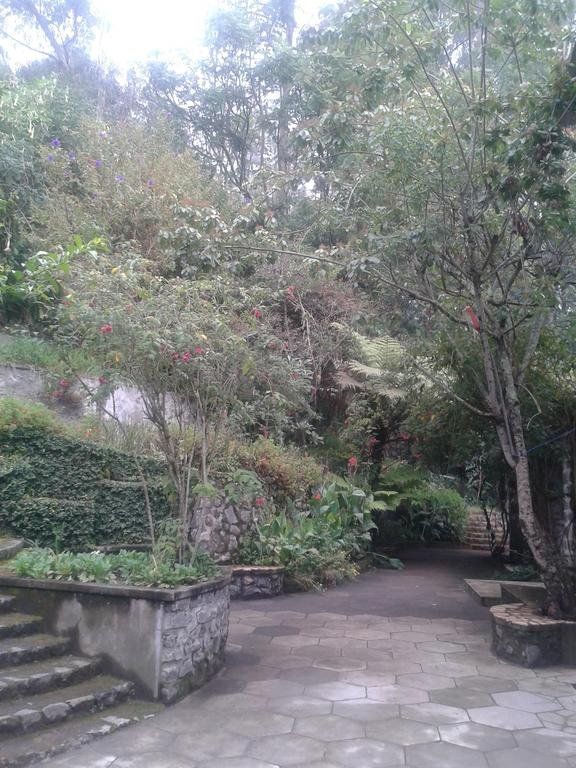Outdoor Pictures 22
