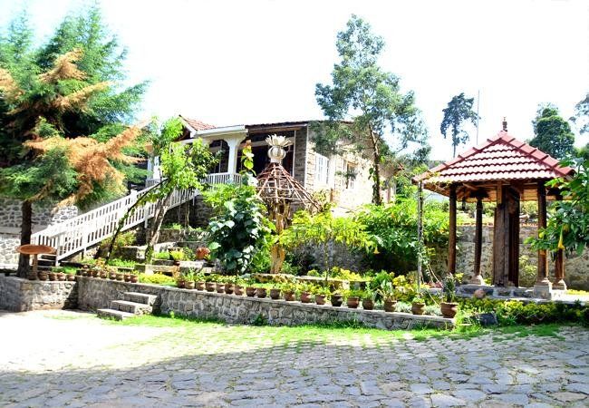Outdoor Pictures 24