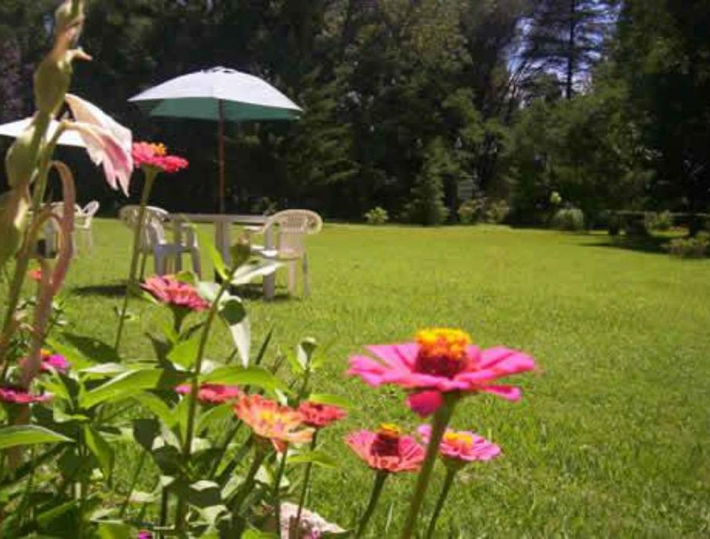 Outdoor Pictures 7