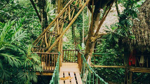 DOMINICAN TREE HOUSE VILLAGE