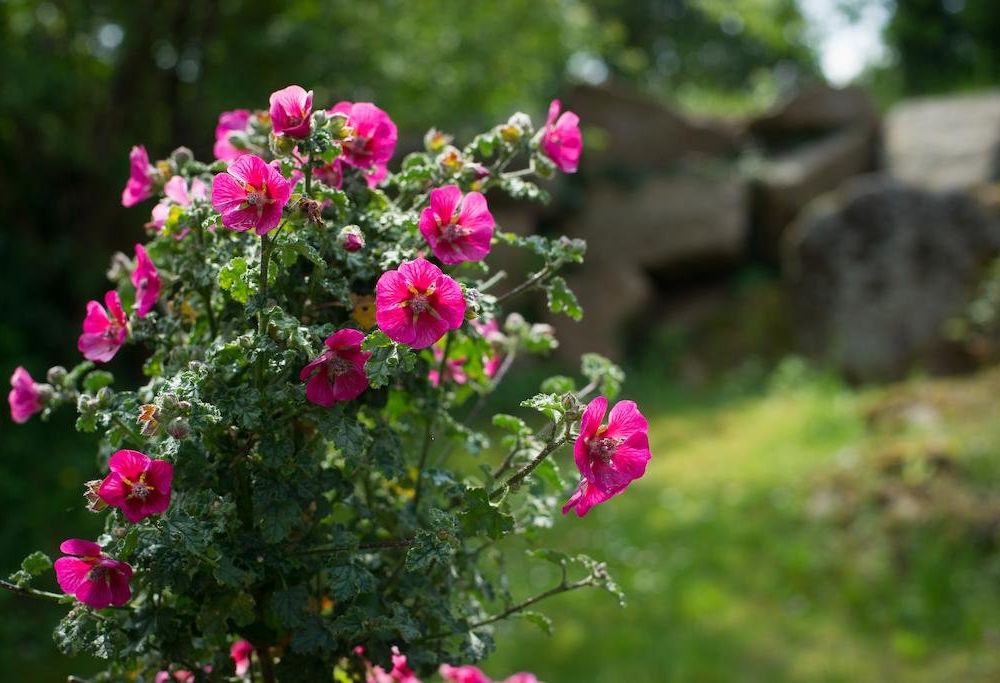 Outdoor Pictures 22