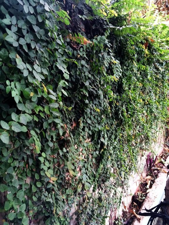 Outdoor Pictures 8