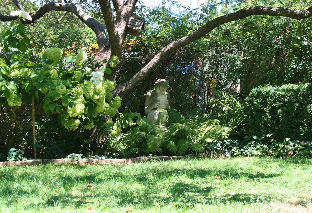 Outdoor Pictures 12
