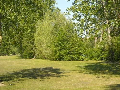 Outdoor Pictures 17