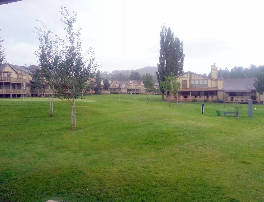 Outdoor Pictures 10