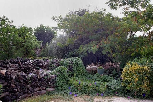 Outdoor Pictures 7
