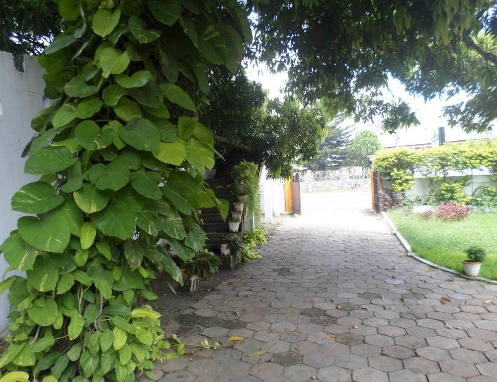 Outdoor Pictures 18