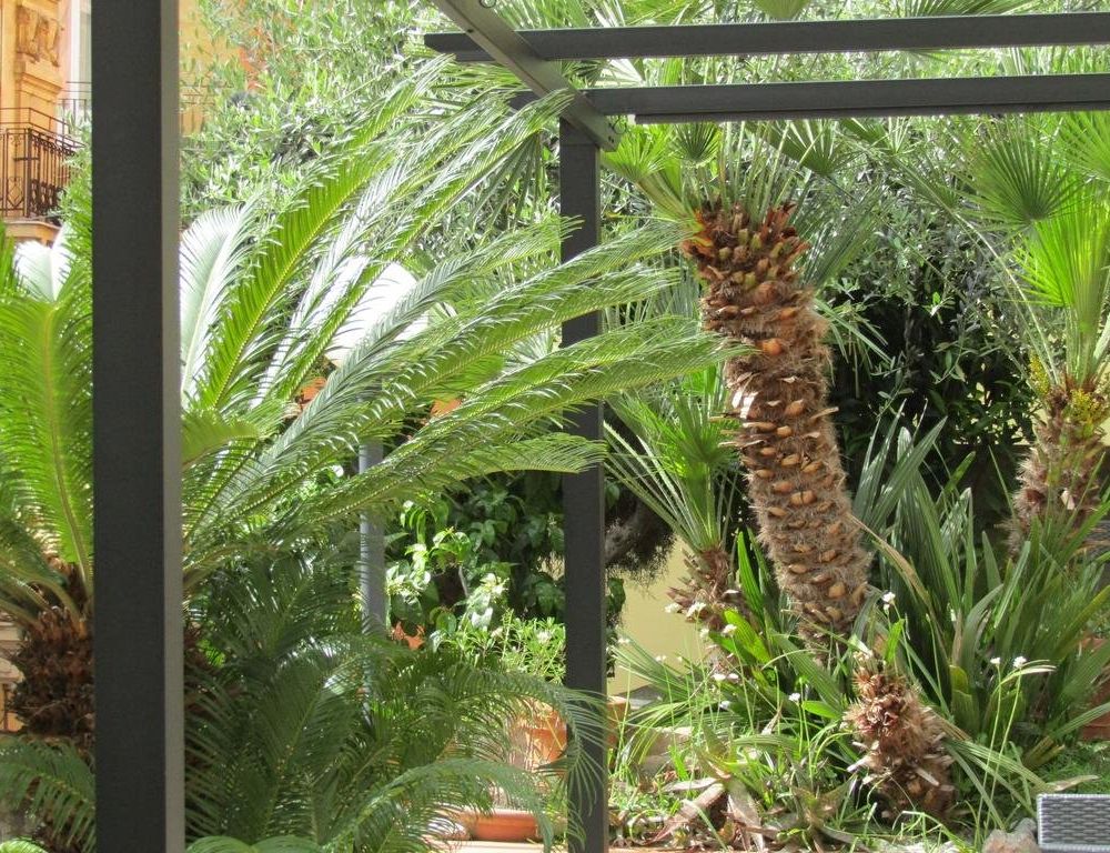 Outdoor Pictures 15