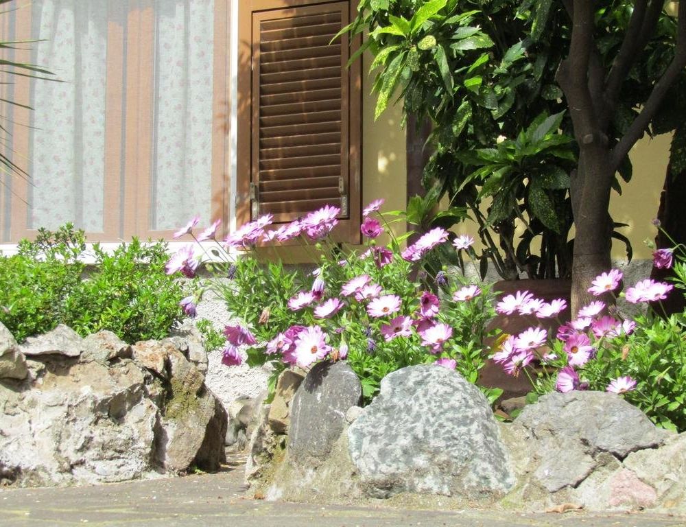 Outdoor Pictures 19