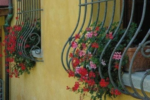 Outdoor Pictures 15