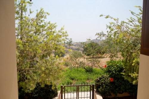 Outdoor Pictures 15