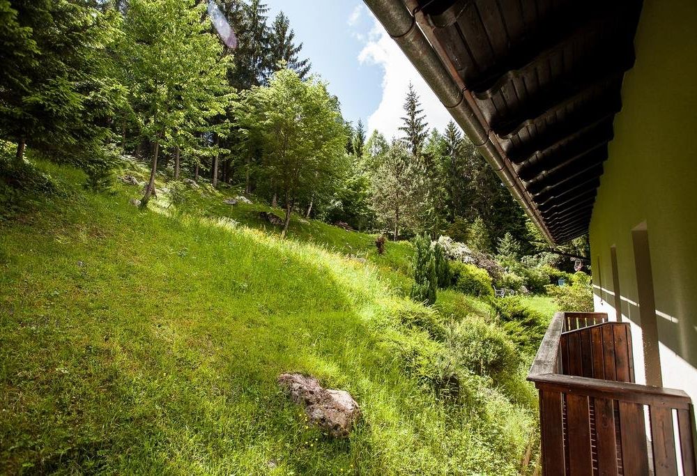 Outdoor Pictures 24