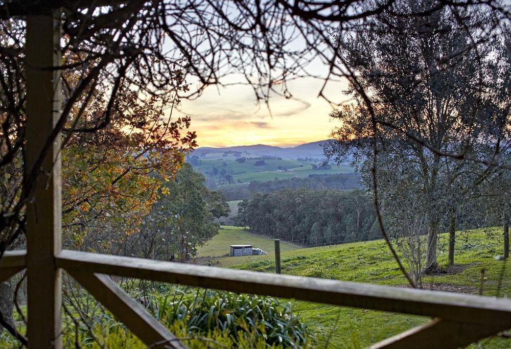 Outdoor Pictures 22