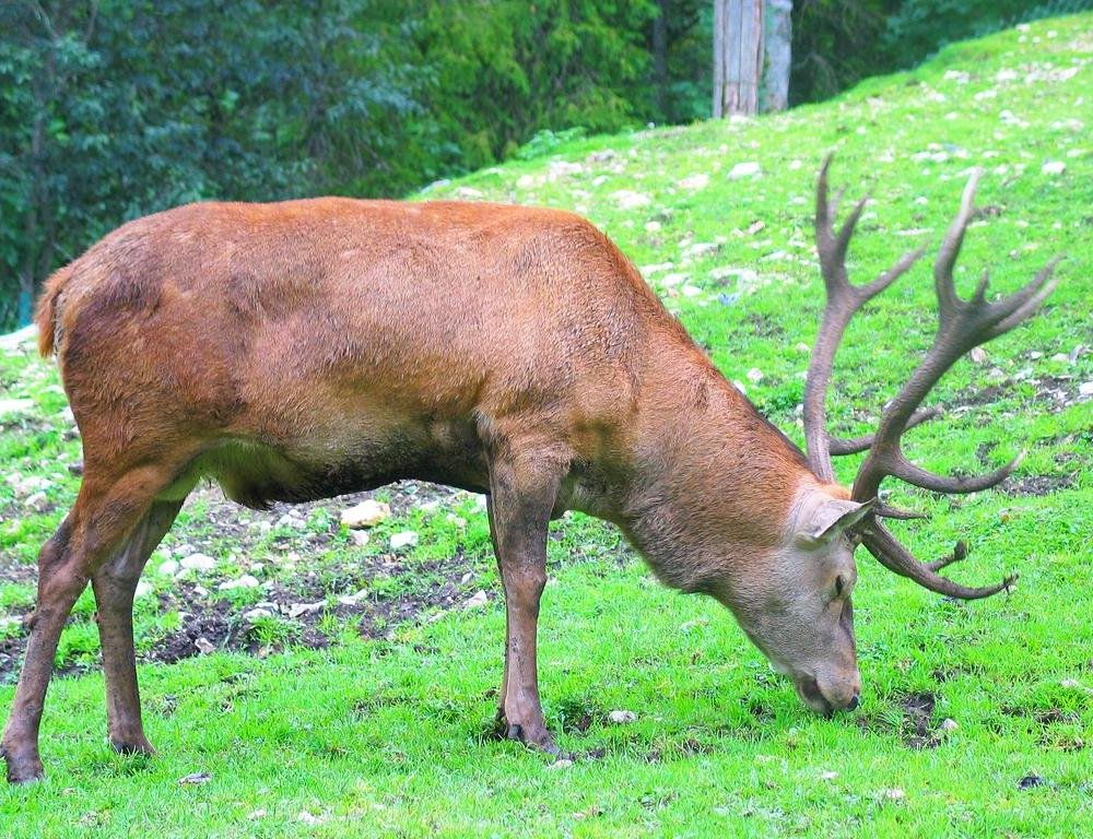 Outdoor Pictures 16