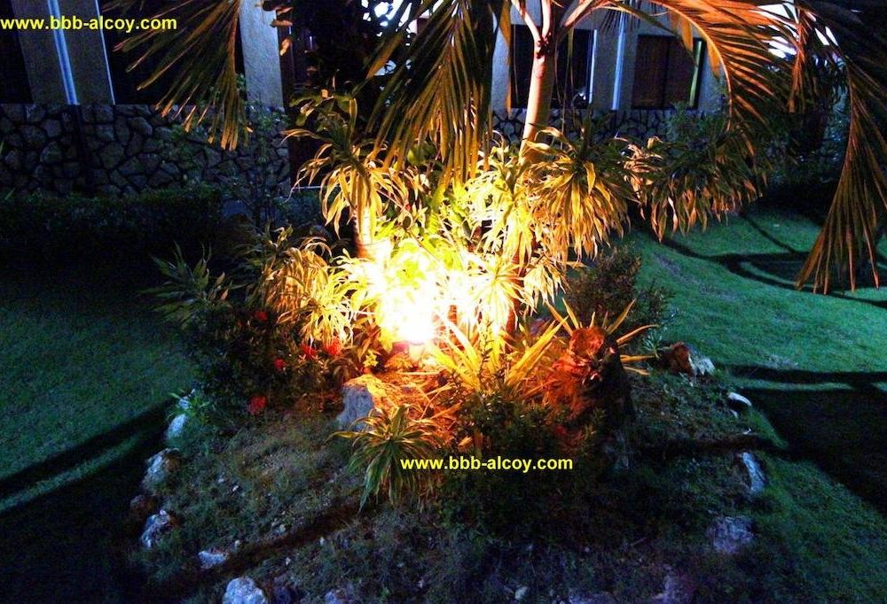 Outdoor Pictures 21