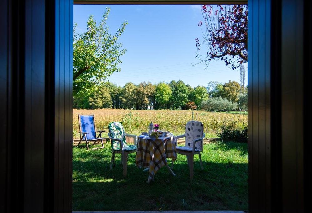 Outdoor Pictures 13