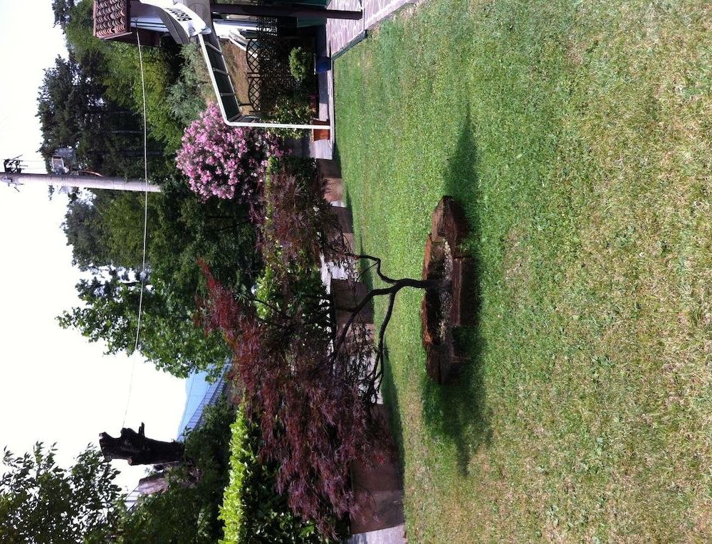 Outdoor Pictures 18