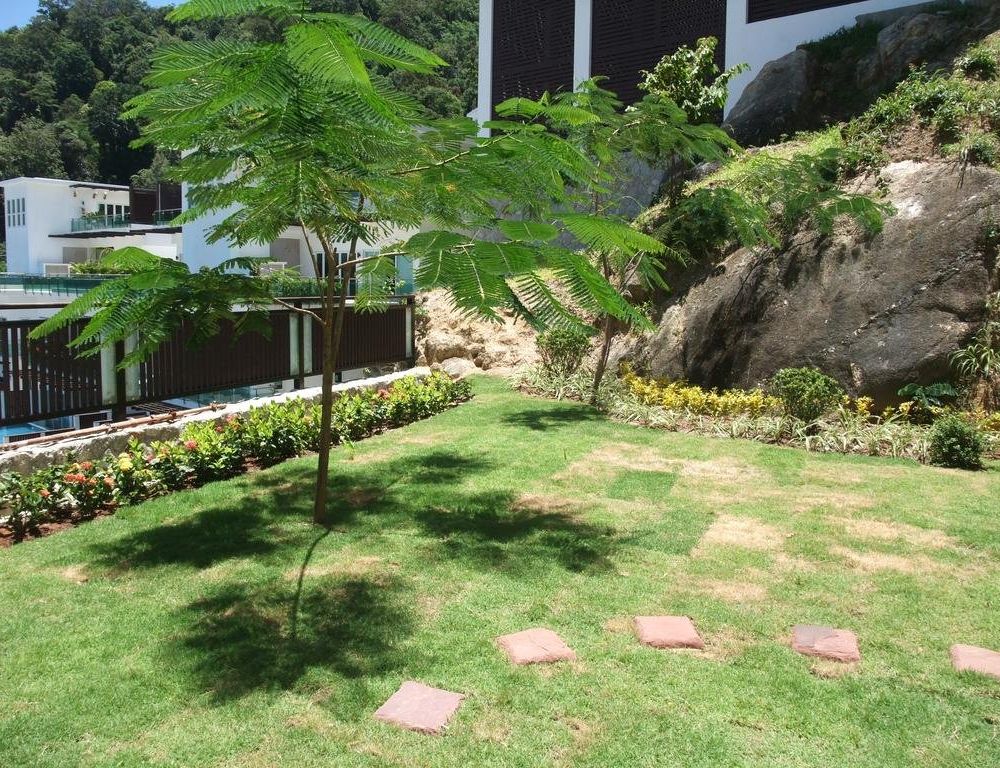 Outdoor Pictures 21