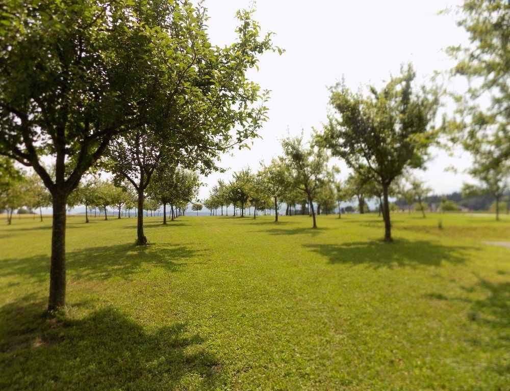 Outdoor Pictures 15