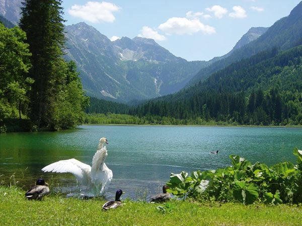 Outdoor Pictures 15