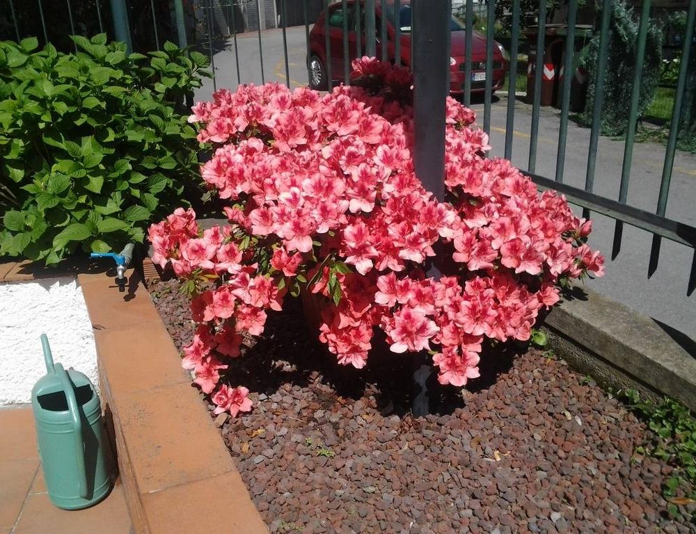 Outdoor Pictures 7