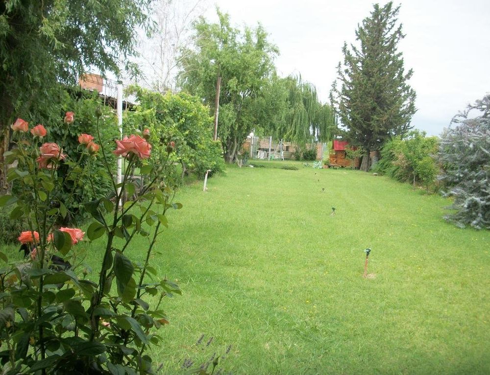 Outdoor Pictures 19