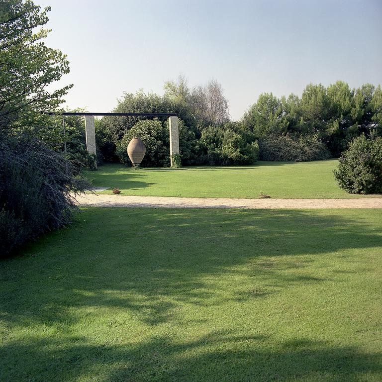 Outdoor Pictures 8
