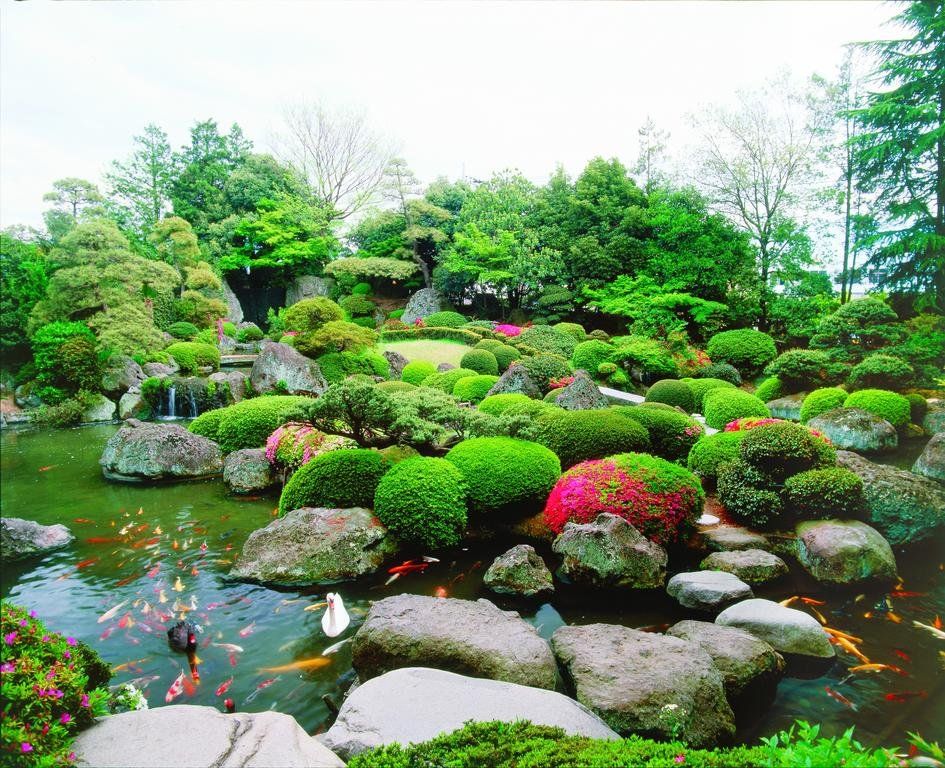 Outdoor Pictures 11