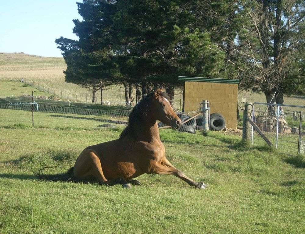 Outdoor Pictures 18