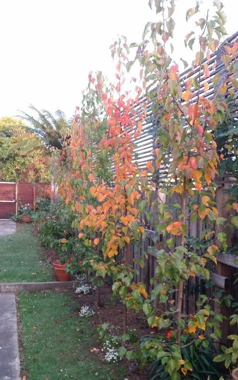Outdoor Pictures 8