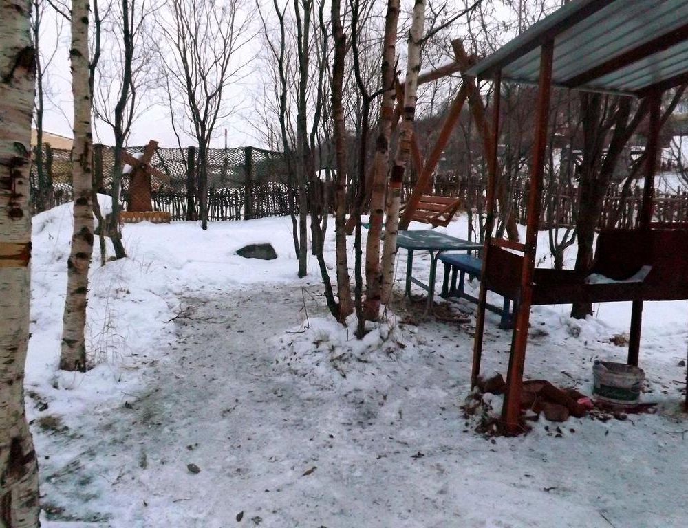 Outdoor Pictures 17
