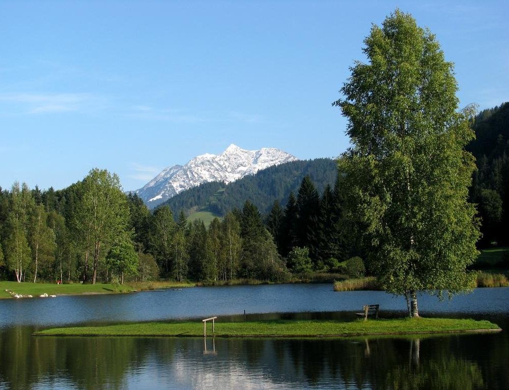 Outdoor Pictures 4