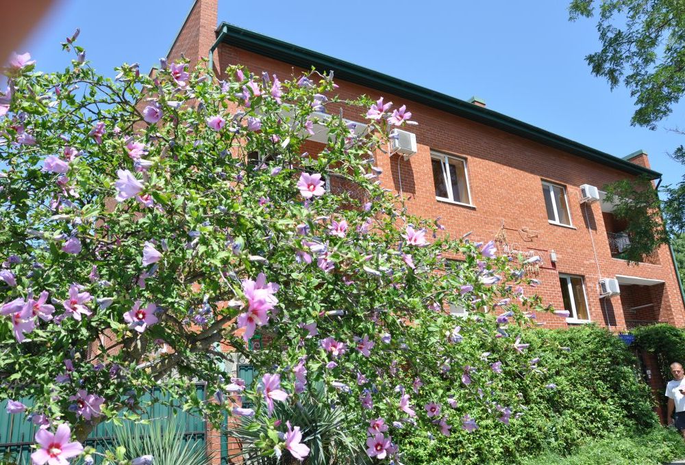 Outdoor Pictures 1