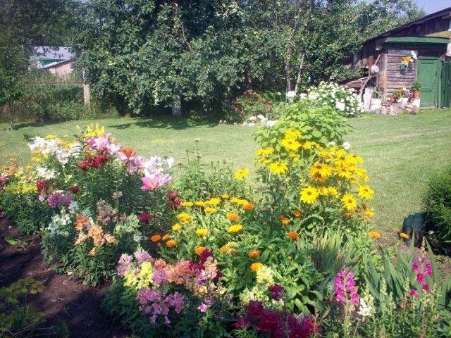 Outdoor Pictures 12