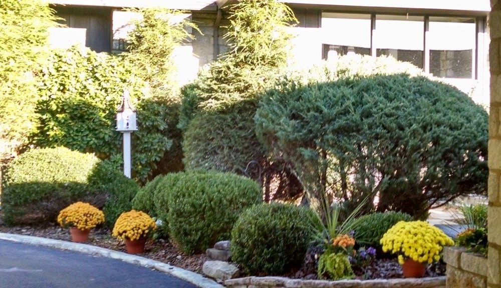 Outdoor Pictures 17
