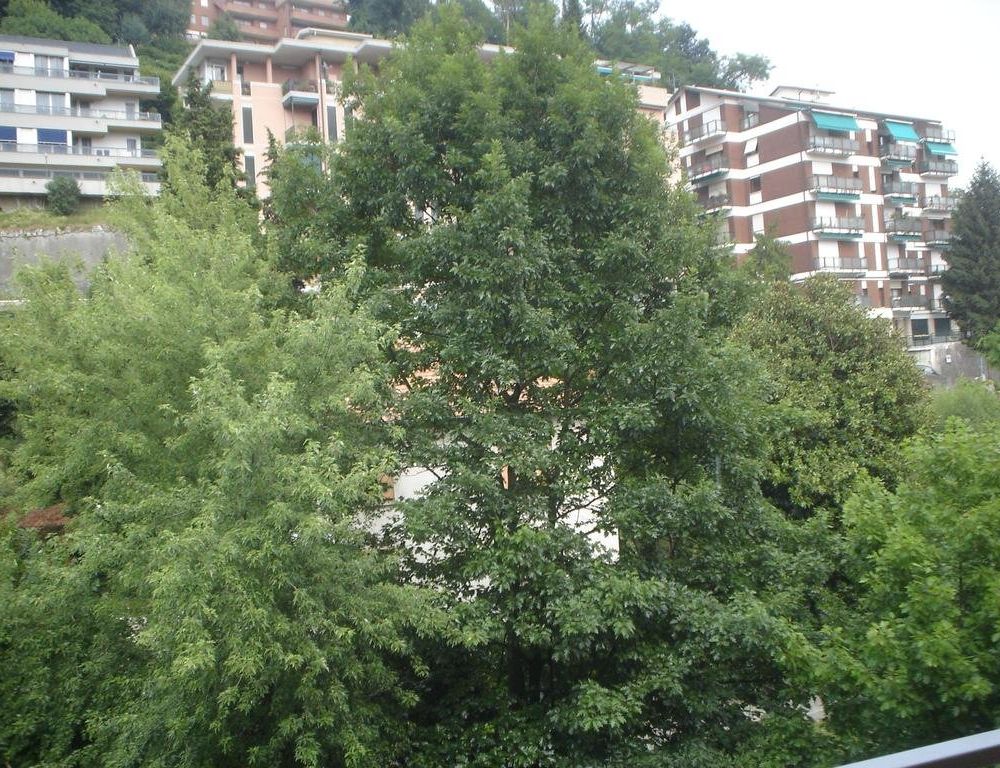 Outdoor Pictures 8