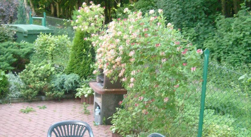 Outdoor Pictures 9