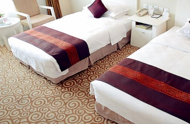 Beijing Spring Hotel Nanyuan Airport