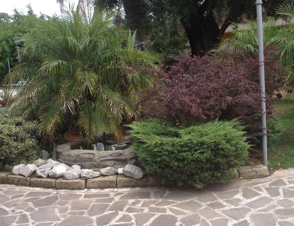 Outdoor Pictures 9
