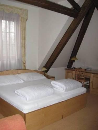 Hotel Zlaty Lev